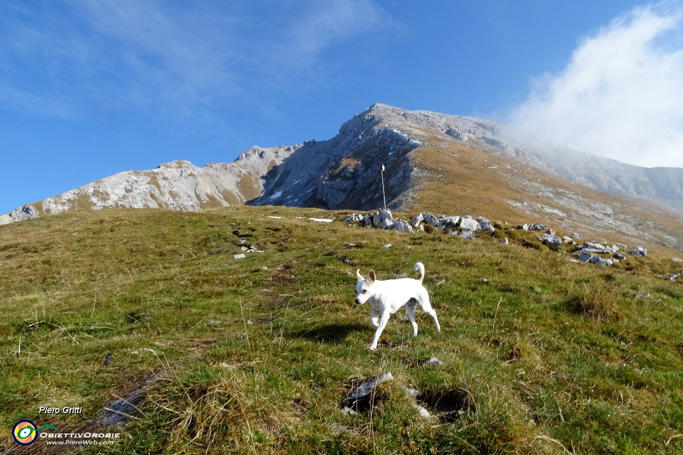 19 Da Capanna 2000 breve salita al sentiero 244-per Forcola di Valmora .JPG -                                